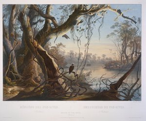 Embouchure de la rivière Fox (Indiana)